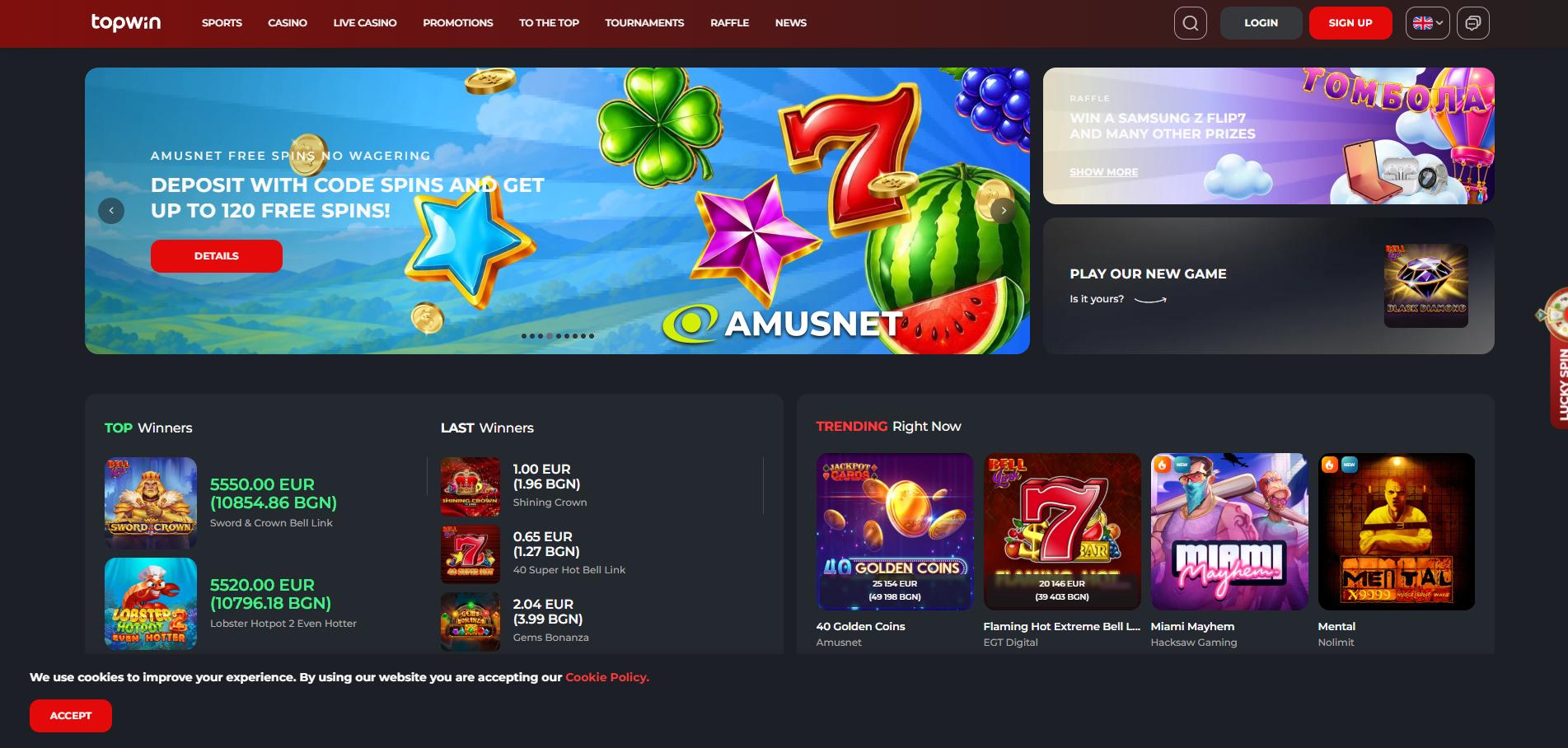 Topwin Casino screenshot 1